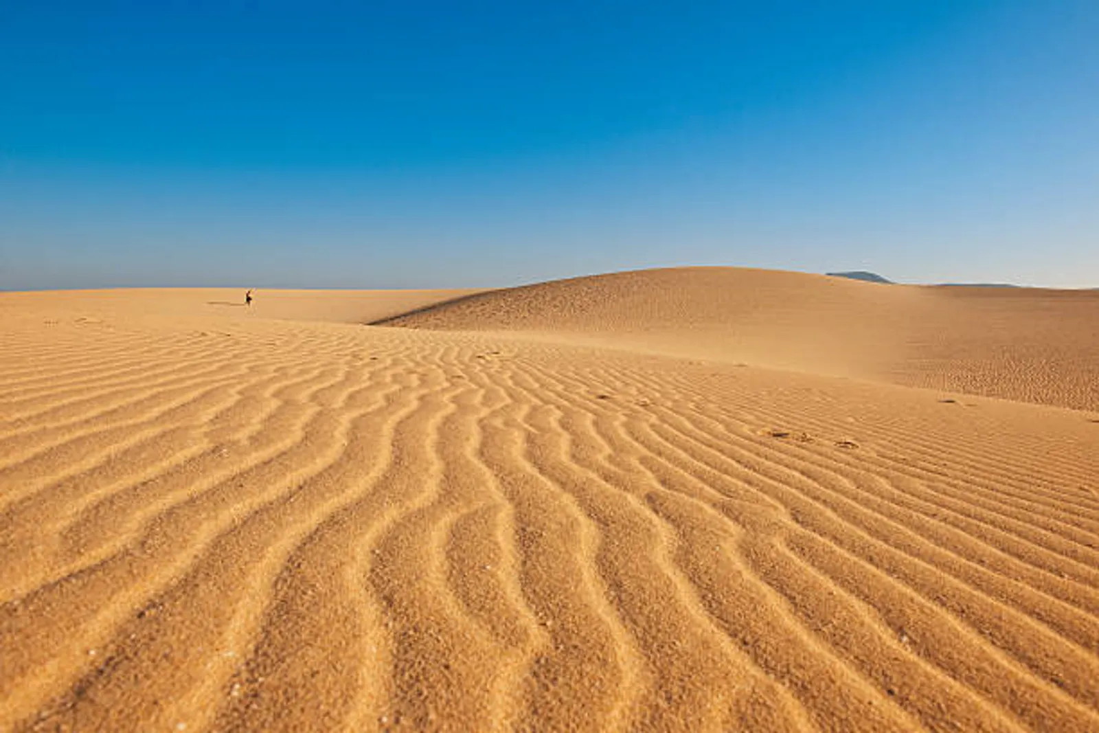 Corralejo Natural Park