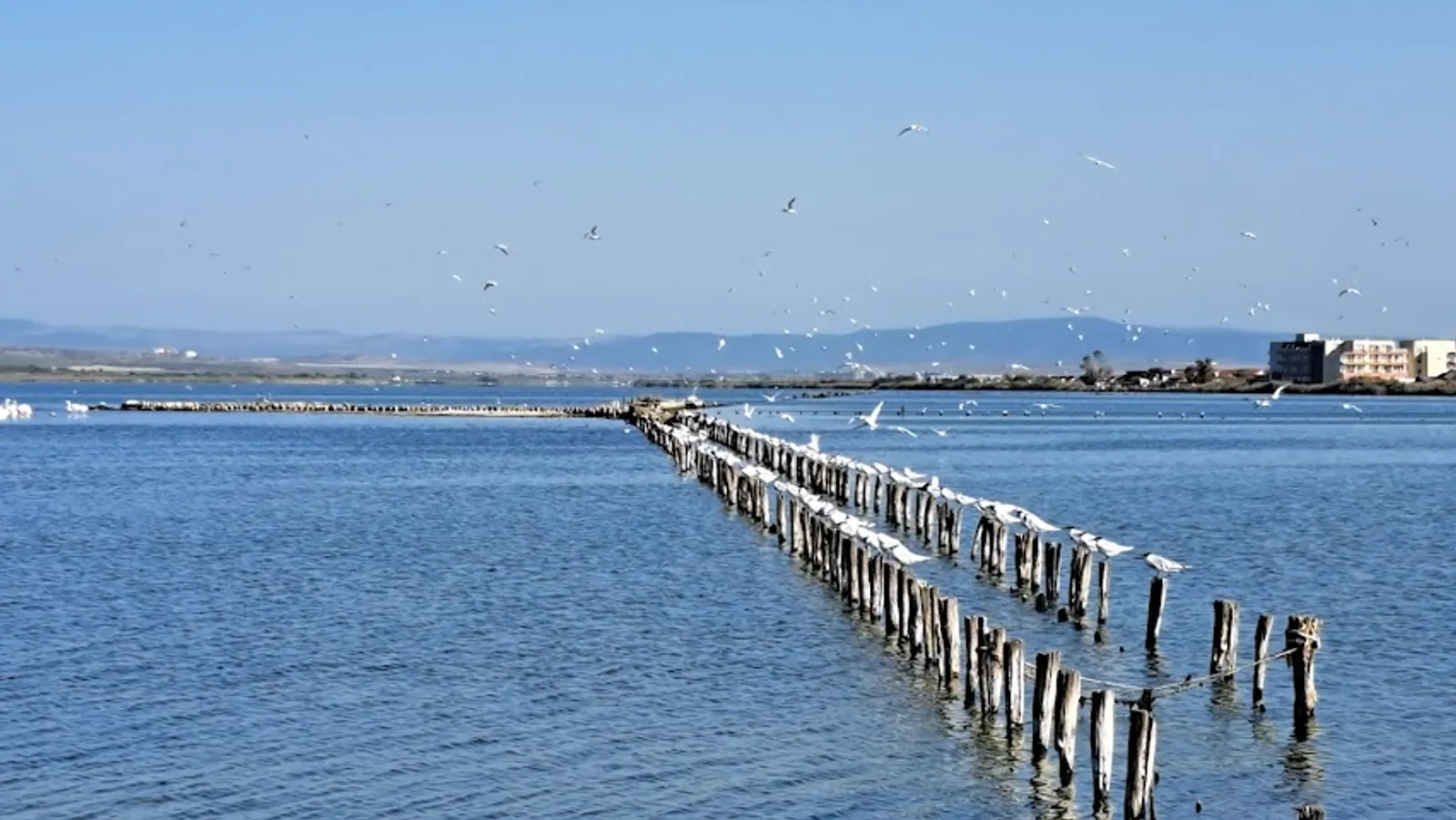 Pomorie Lake