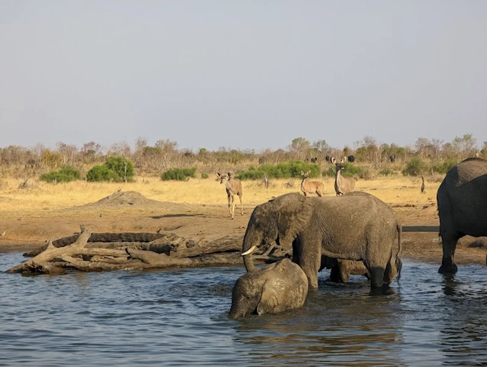 Hwange National Park