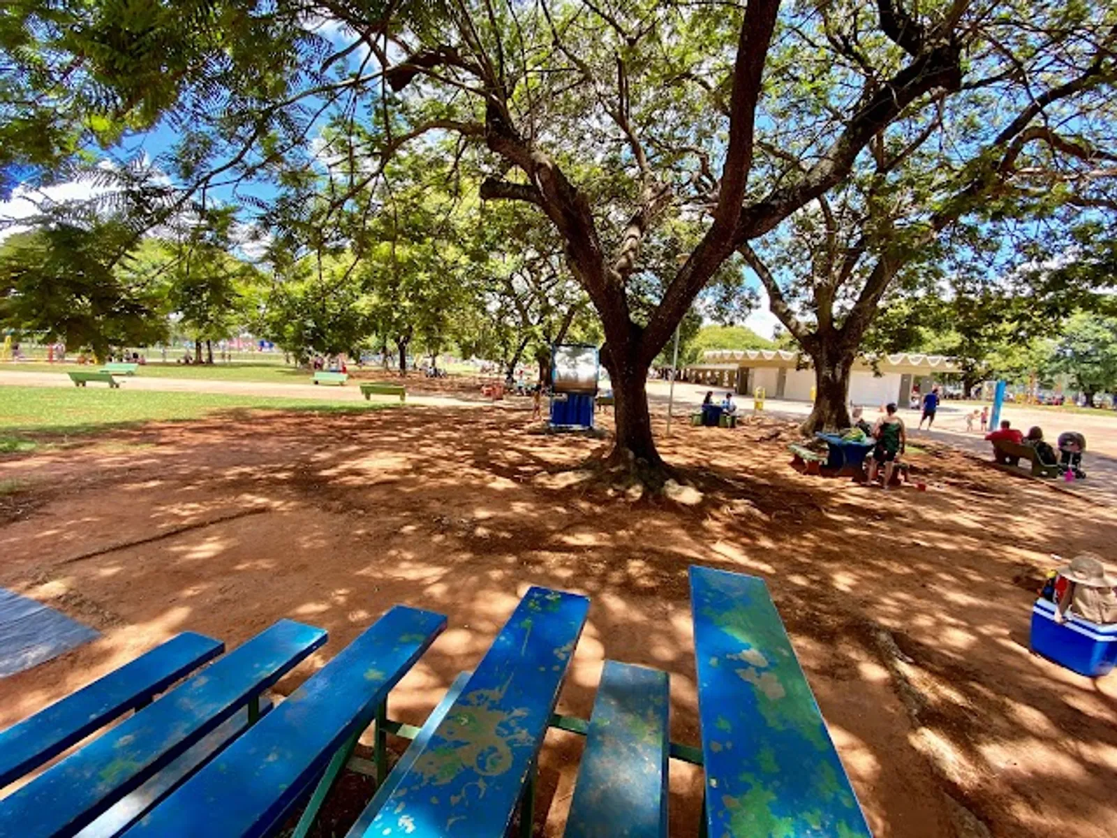 Parque da Cidade Sarah Kubitschek