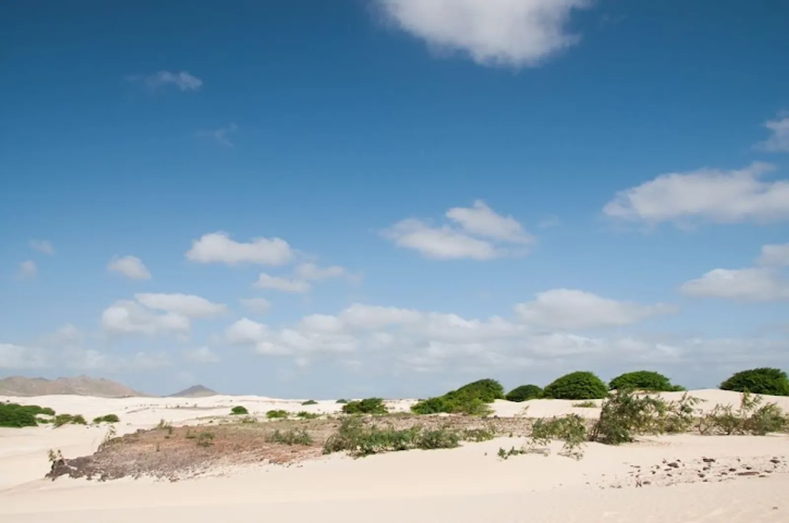 Boa Vista Viana Desert