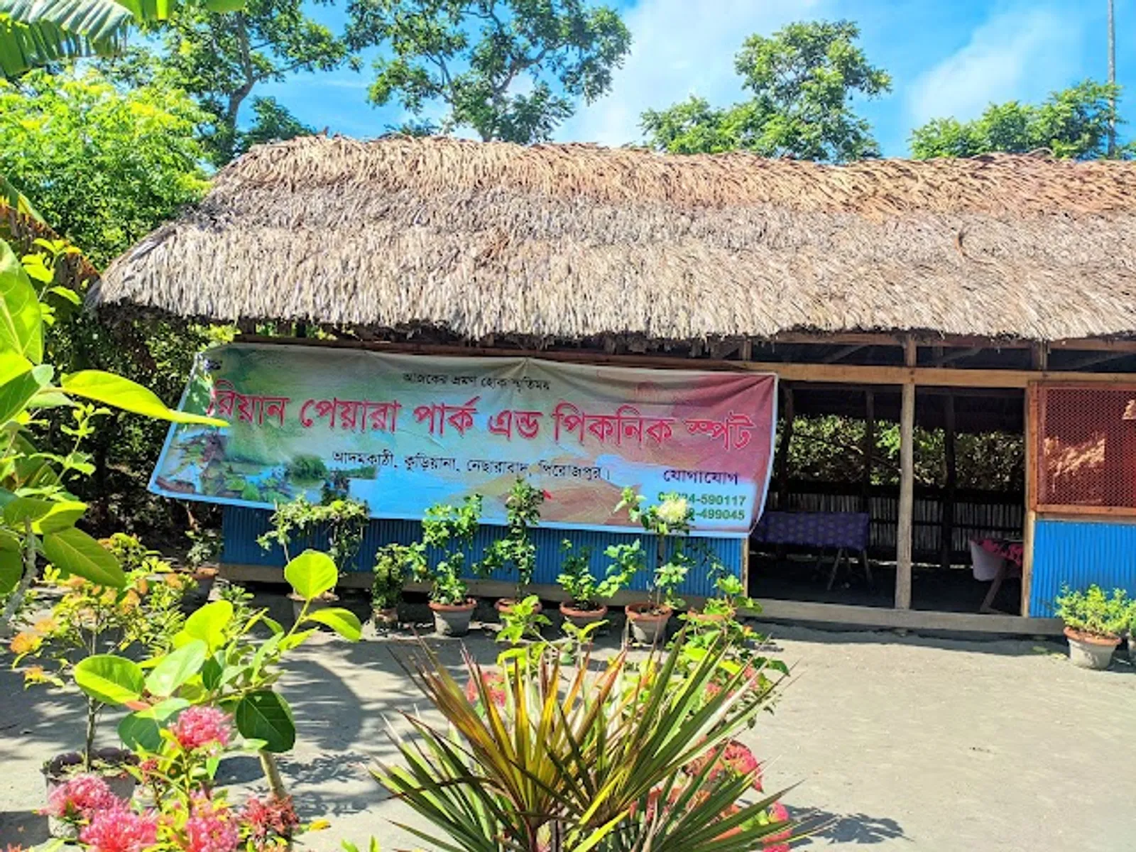 Barisal Floating Guava Market