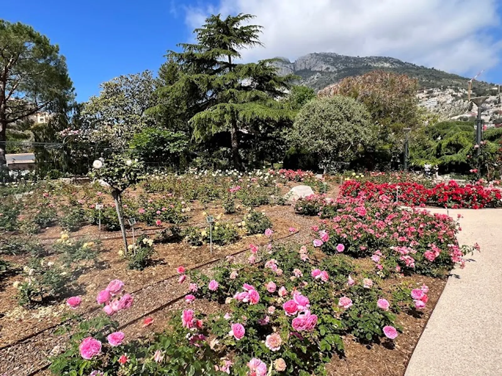 Fontvieille Park and Princess Grace Rose Garden