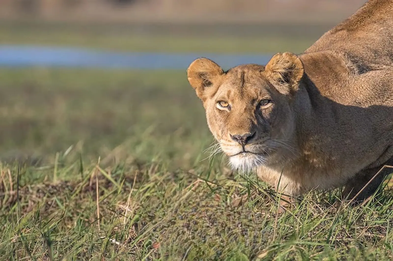 Kafue National Park