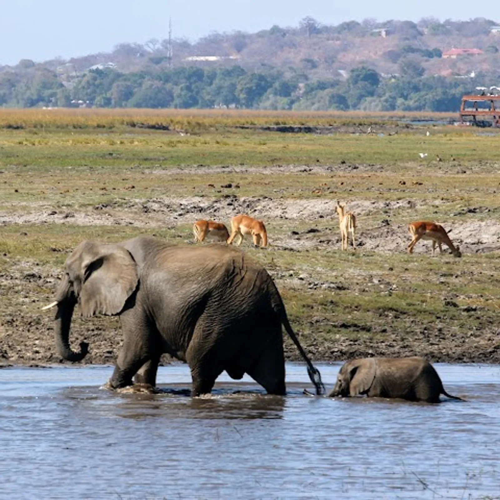 Chobe National Park