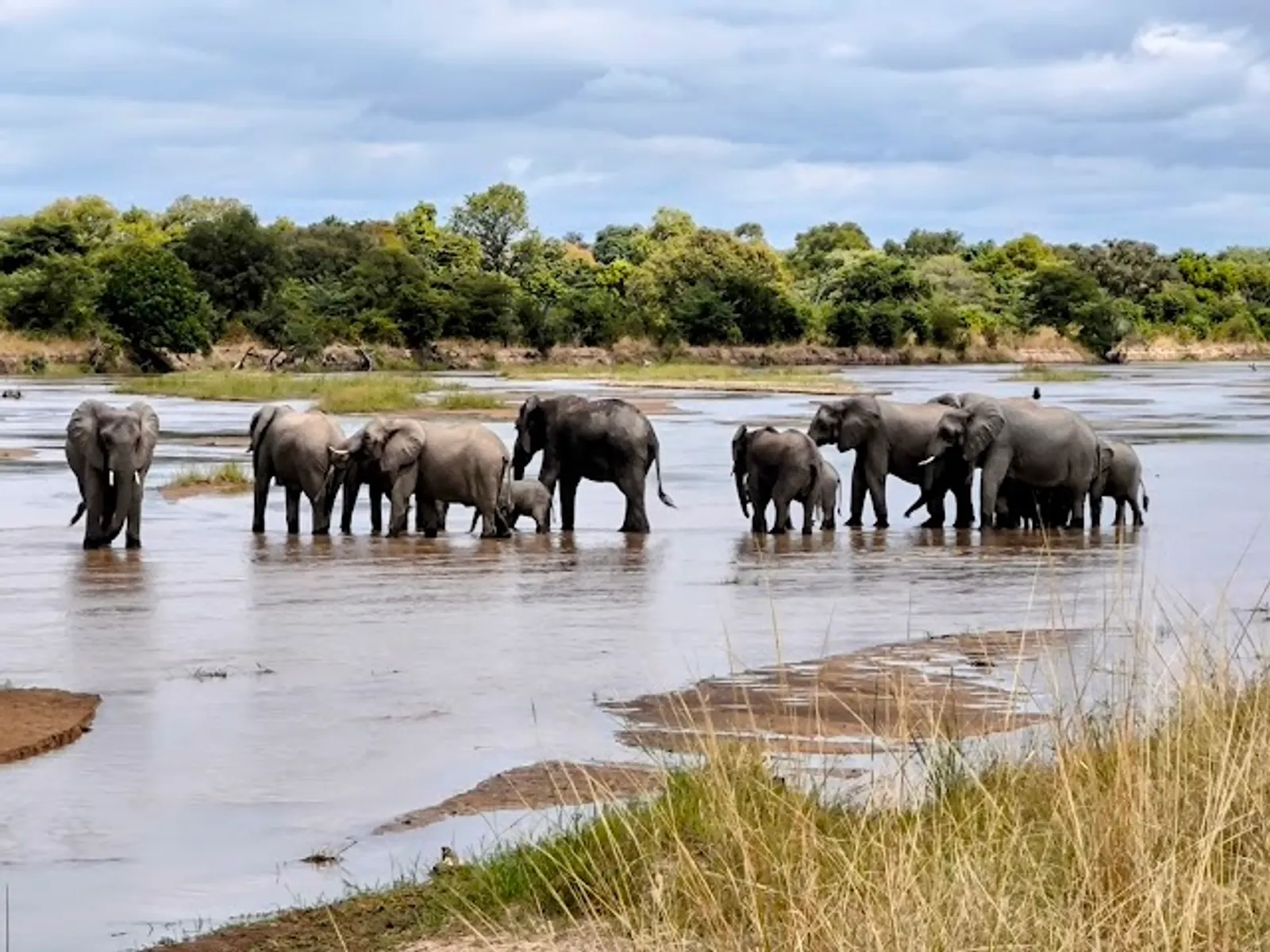 South Luangwa National Park