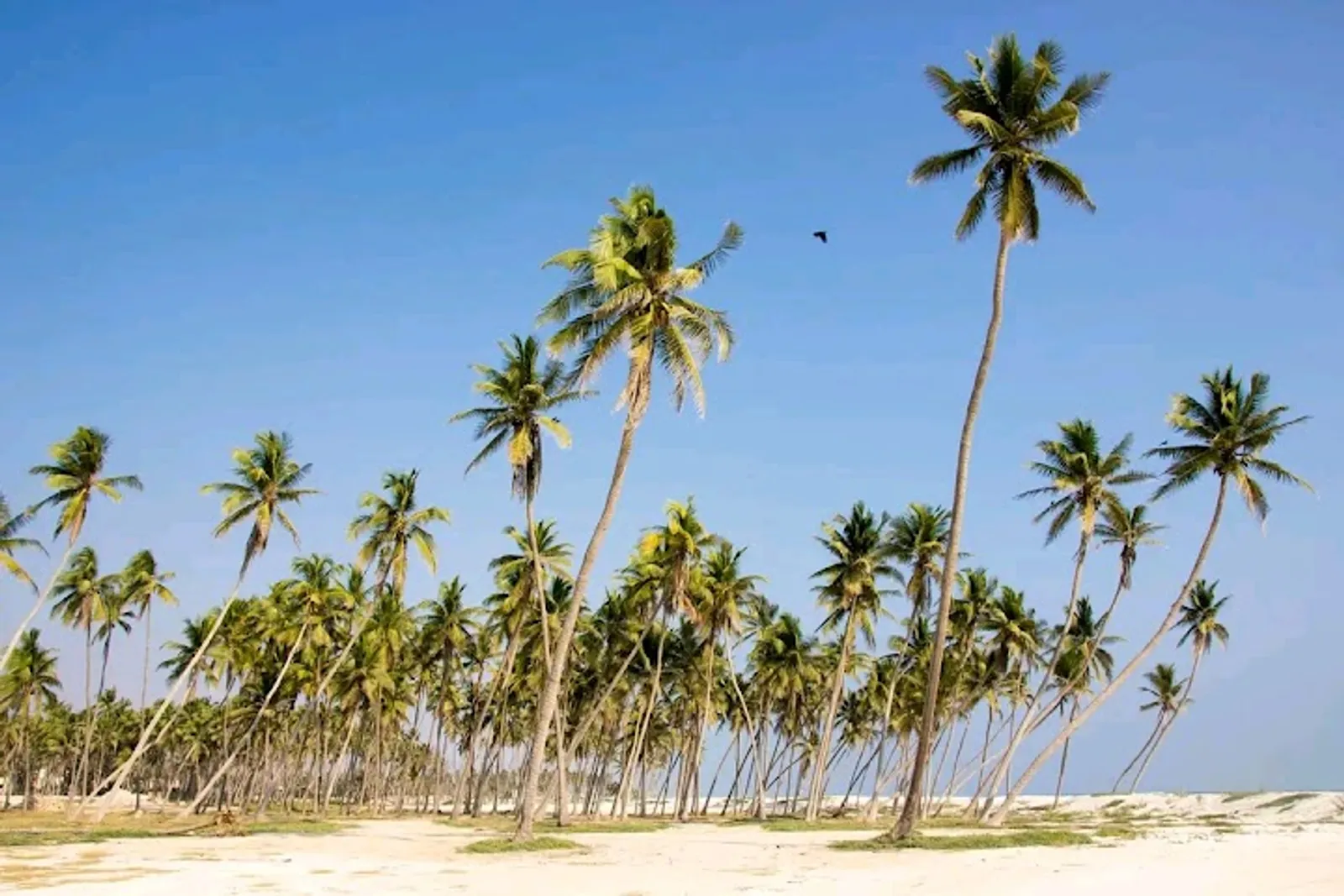 Salalah Beaches