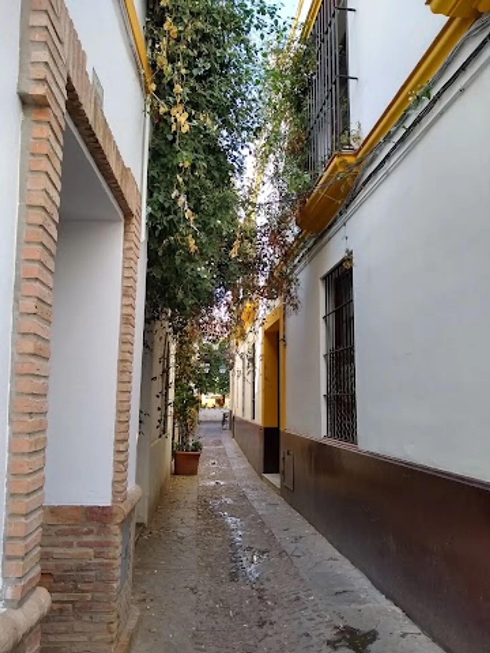 Seville